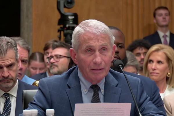 Fauci Pleads the Fifth