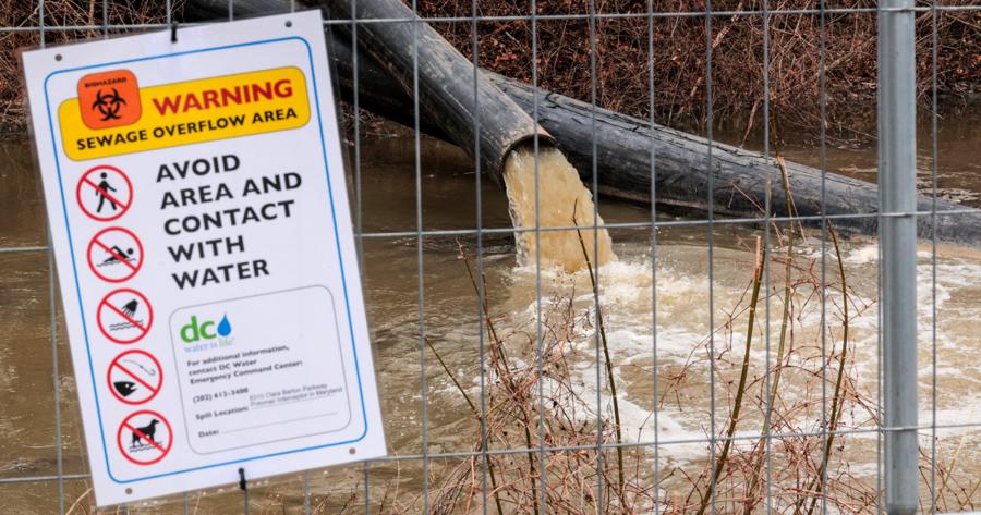 Potomac River E. coli levels skyrocket after 240 million gallons of sewage pour into waterway